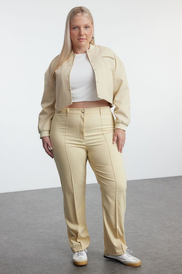 Trendyol Trendyol Curve Limited Edition Mink Straight/Straight Cut Pleated Woven Trousers