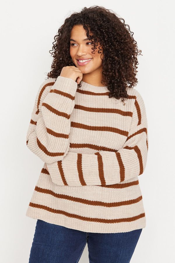 Trendyol Trendyol Curve Stone Striped Off Shoulder Knitwear Sweater