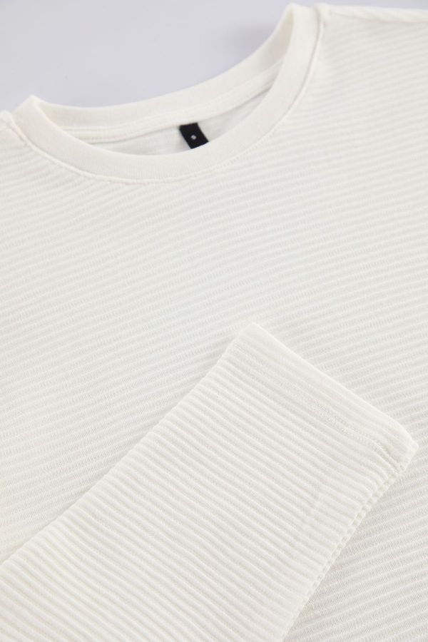 Trendyol Trendyol Ecru Regular Cut Long Sleeve Basic Textured 100% Cotton Thick T-Shirt