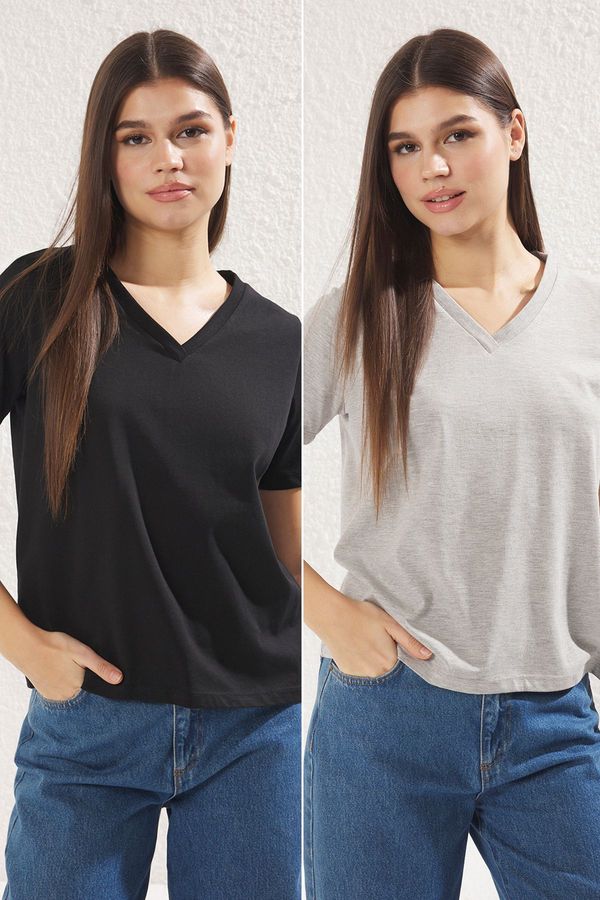 Trendyol Trendyol Grey Melange- Black 2-Pack Regular Fit Basic V Neck Knitted T-Shirt