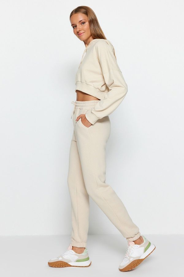 Trendyol Trendyol камък дебели основни трикотажни Sweatpants с руно вътре