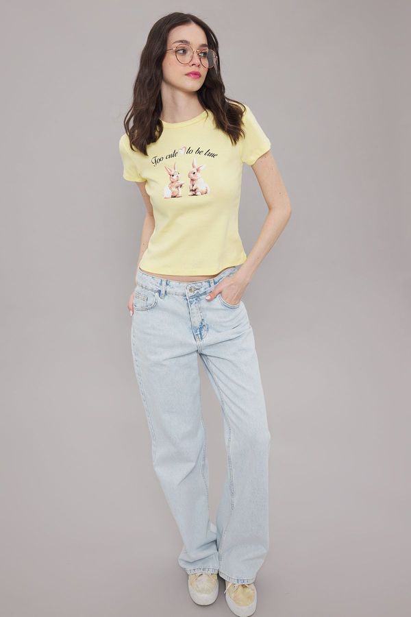 Trendyol Trendyol Light Yellow Printed Fitted/Fits Body Knitted T-Shirt