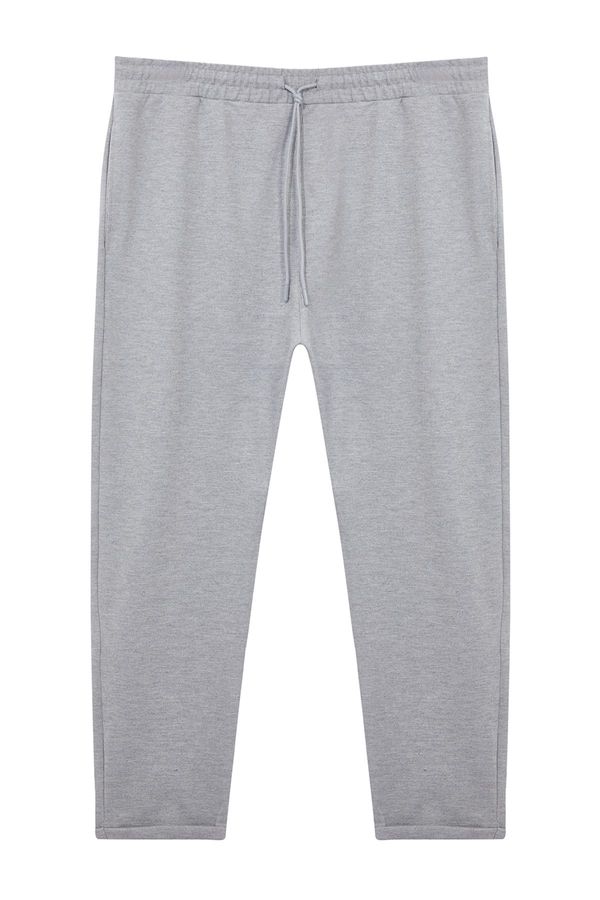 Trendyol Trendyol Plus Size Gray Regular Fabric Trousers