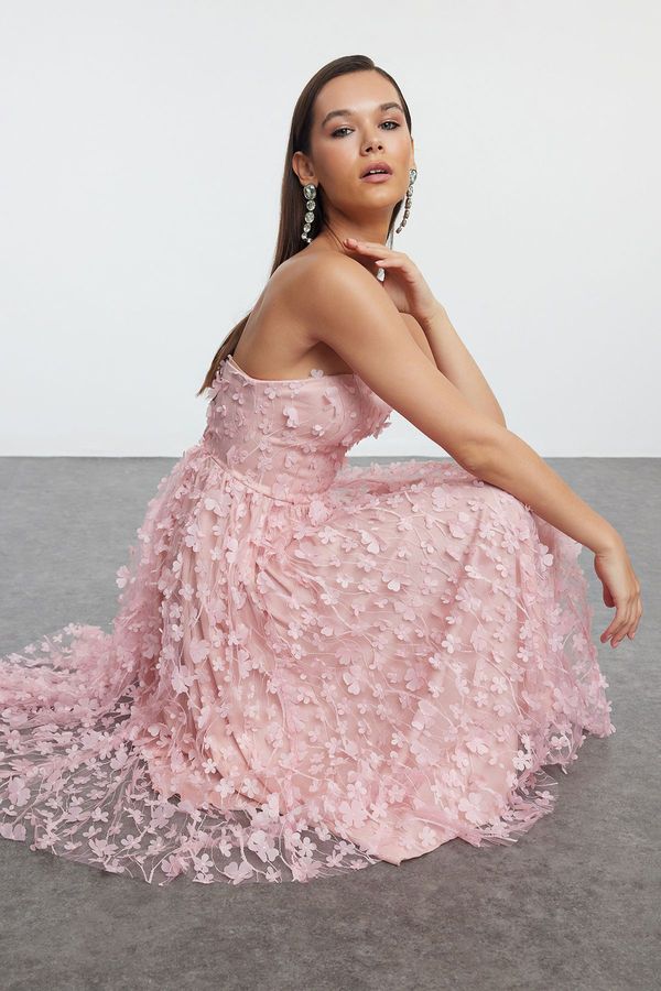 Trendyol Trendyol Powder A-Cut 3D Floral Detailed Elegant Evening Dress