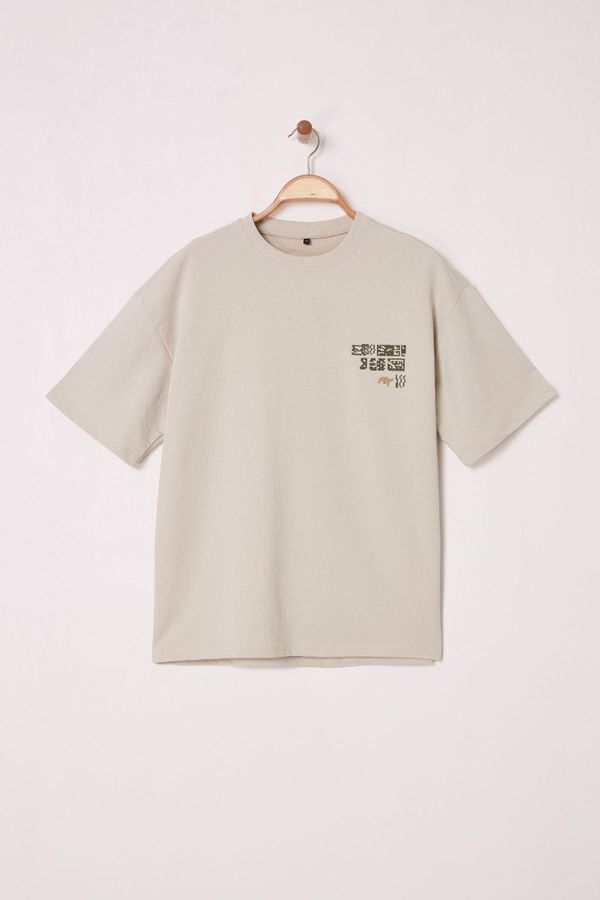 Trendyol Trendyol stone Oversize/Wide Cut Ethnic Embroidered T-Shirt