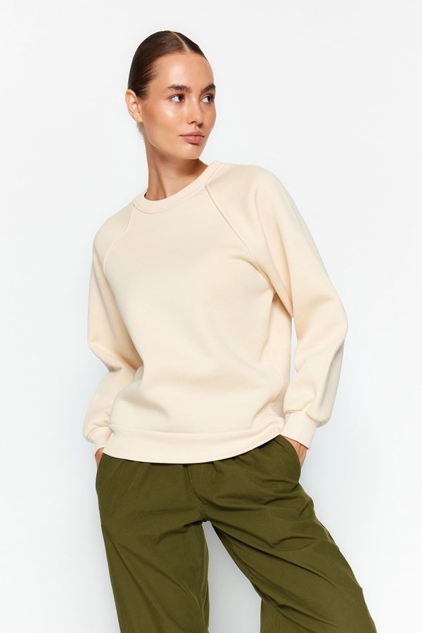 Trendyol Trendyol Stone Relaxed/Comfortable fit Basic Raglan Sleeve Crew Neck Knitted Sweatshirt