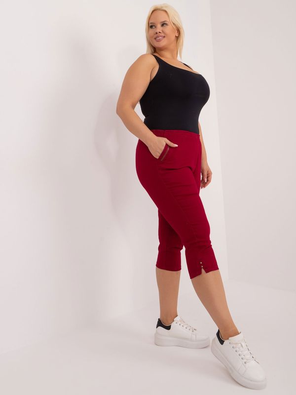 New Fashion Trousers-AT-SP-J295.13-burgundy