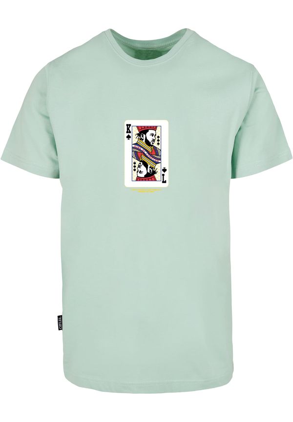 CS WL Compton Card Tee bird egg green