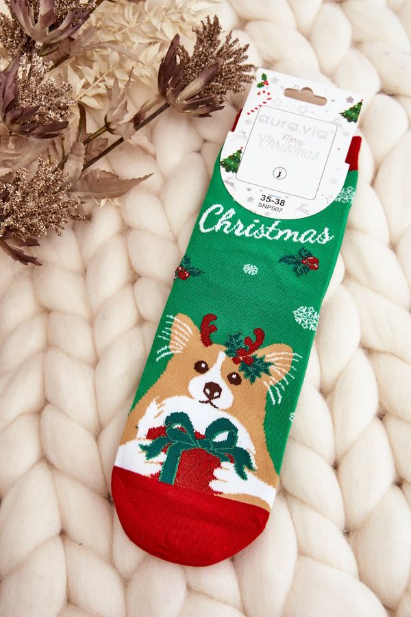 Kesi Women's Christmas socks with a dog, green
