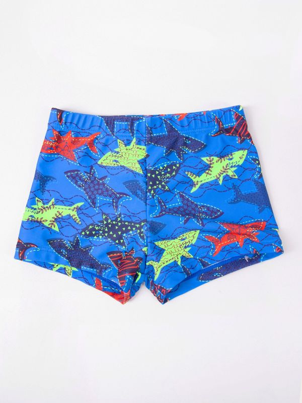 Yoclub Yoclub Kids's Boy's Swimming Shorts LKS-0055C-A100