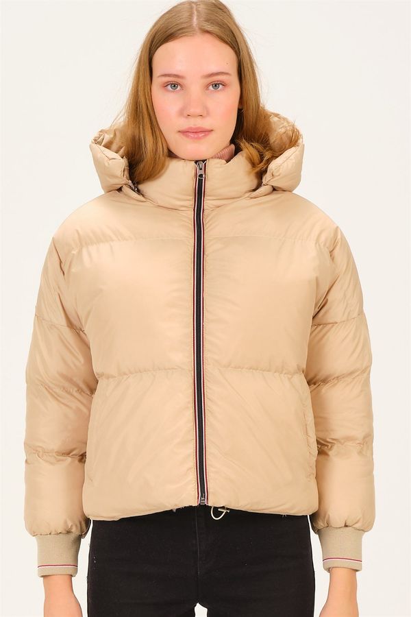 dewberry Z6650 ДЮБЕРИ