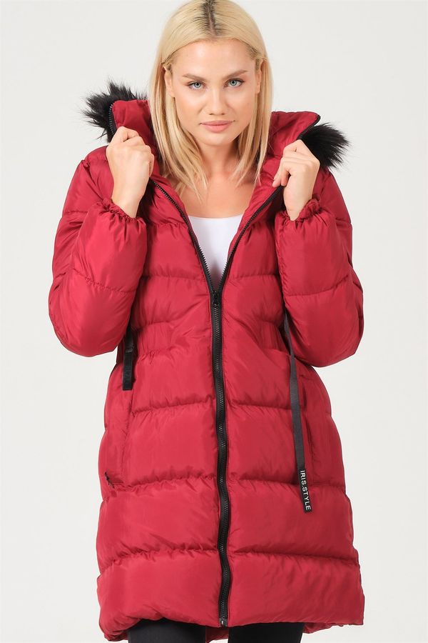 dewberry Z6764 DEWBERRY