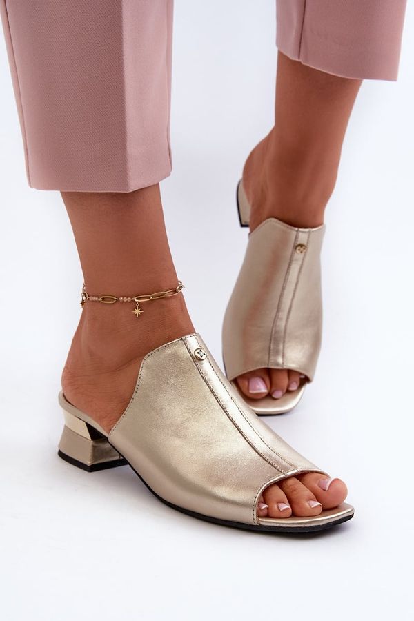 Zazoo Zazoo недефиниран