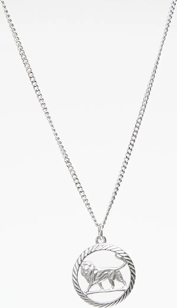 Miansai Огърлица Miansai Lev Pendant Necklace Sterling Silver Universal