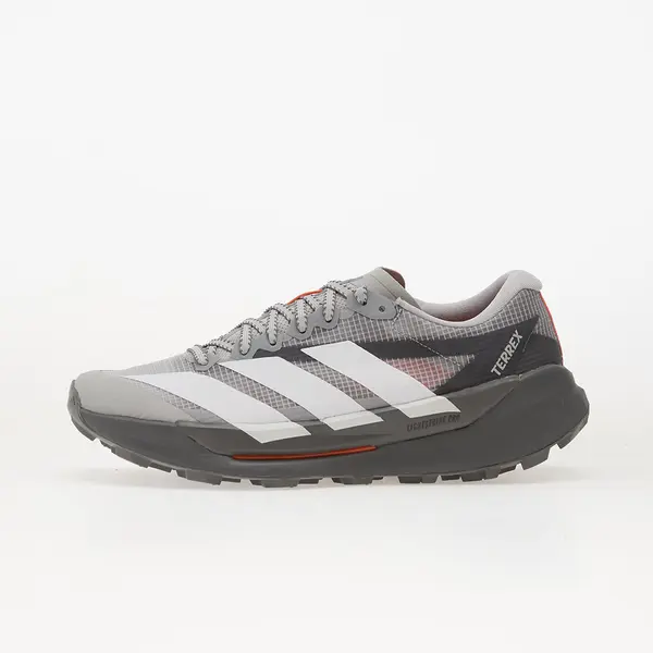 adidas Performance Сникърси adidas Terrex Agravic TT Trail Running Grey Two/ Ftwr White/ Reflective Silver EUR 45 1/3