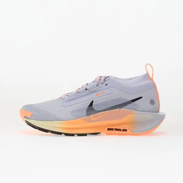 Nike Сникърси Nike Pegasus Trail 5 Gore-Tex Ghost/ Black-Malt-Orange Pulse EUR 36.5