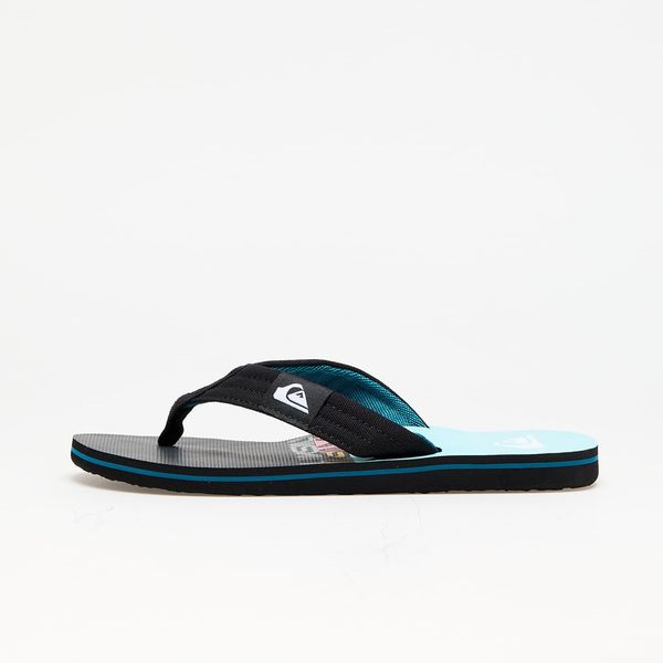 Quiksilver Сникърси Quiksilver Molokai Layback Blue 5 EUR 8