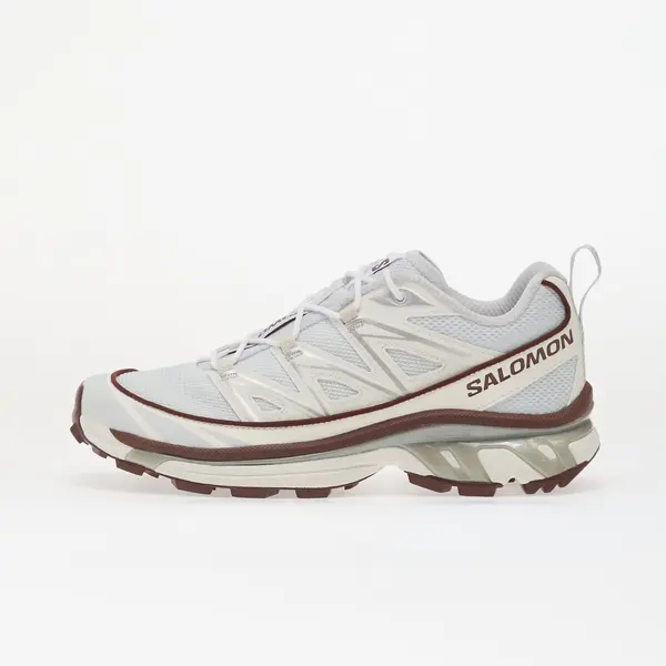 Salomon Сникърси Salomon XT-6 Expanse Anciew/ Bchoco/ Ftw Silv EUR 44 2/3