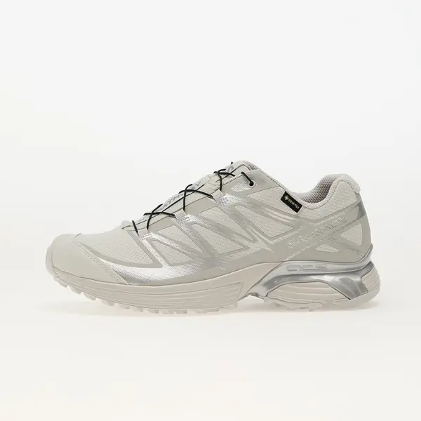 Salomon Сникърси Salomon XT-Pathway Gtx LunRoc/ Allo/ Ftw Silv EUR 44 2/3