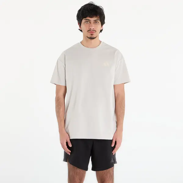 adidas Performance Тениска adidas Terrex Xploric Climacool Graphic T-Shirt Wonder Alumina M