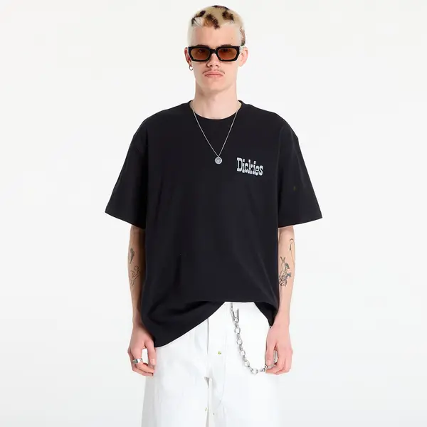 Dickies Тениска Dickies Vernal Short Sleeve Tee Black S