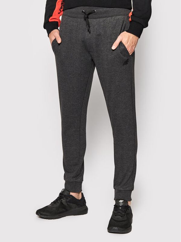 4F 4F Долнище анцуг H4L22-SPMD350 Сив Regular Fit
