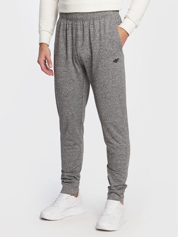 4F 4F Долнище анцуг H4Z22-SPMTR350 Сив Regular Fit