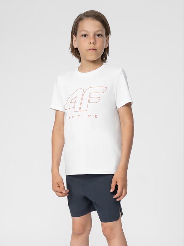 4F 4F Спортни шорти 4FJSS23TFSHM151 Сив Regular Fit