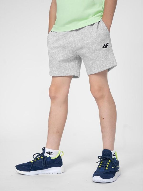 4F 4F Спортни шорти 4FJSS23TSHOM048 Сив Regular Fit