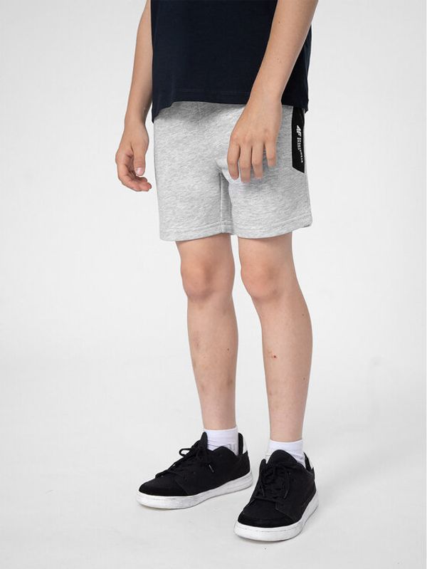 4F 4F Спортни шорти 4FJSS23TSHOM049 Сив Regular Fit