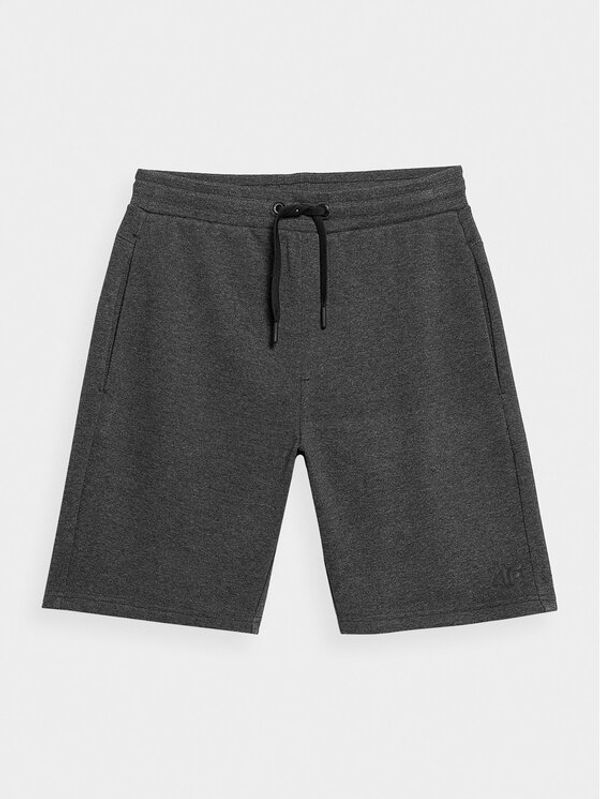 4F 4F Спортни шорти 4FSS23TSHOM156 Сив Regular Fit