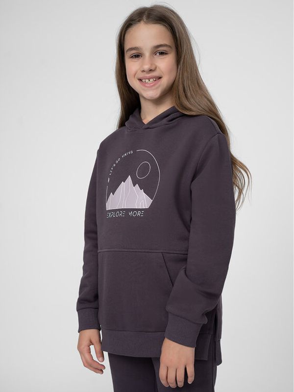 4F 4F Суитшърт 4FJSS23TSWSF277 Виолетов Regular Fit