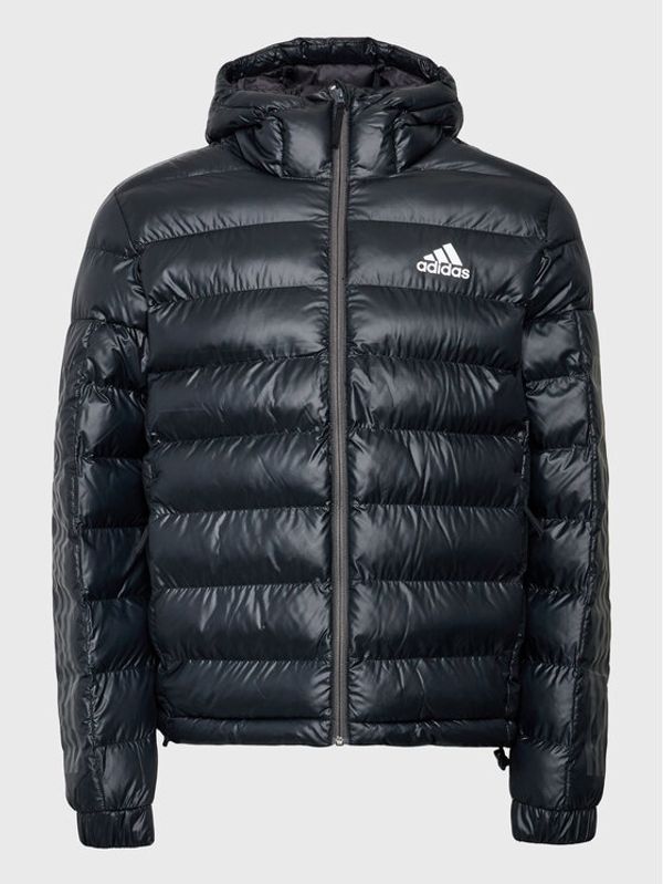 adidas adidas Пухено яке 3-Stripes Sdp Badge Of Sport HK6669 Черен Regular Fit