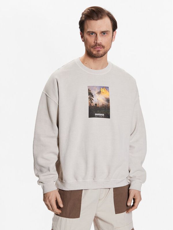 BDG Urban Outfitters BDG Urban Outfitters Суитшърт 76521152 Екрю Loose Fit