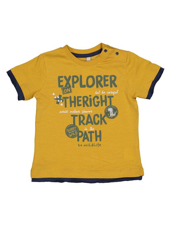 Birba Trybeyond Birba Trybeyond Тишърт 999 64093 00 D Кафяв Regular Fit