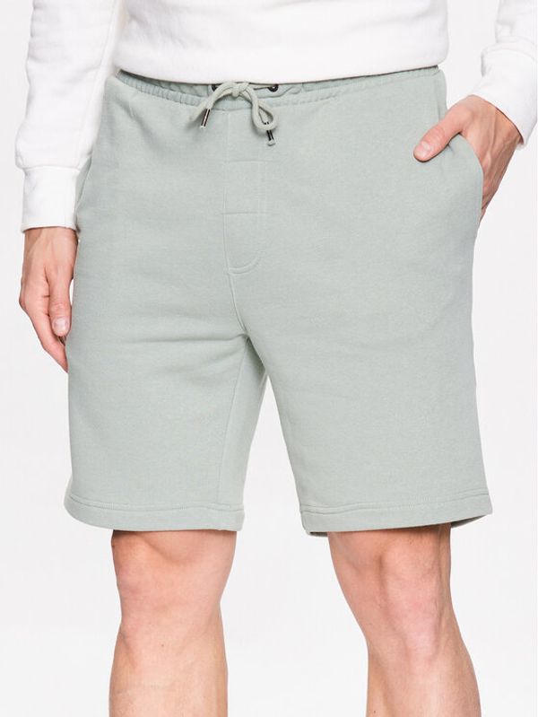 Brave Soul Brave Soul Шорти от плат MSRT-69TARLEY15 Зелен Regular Fit