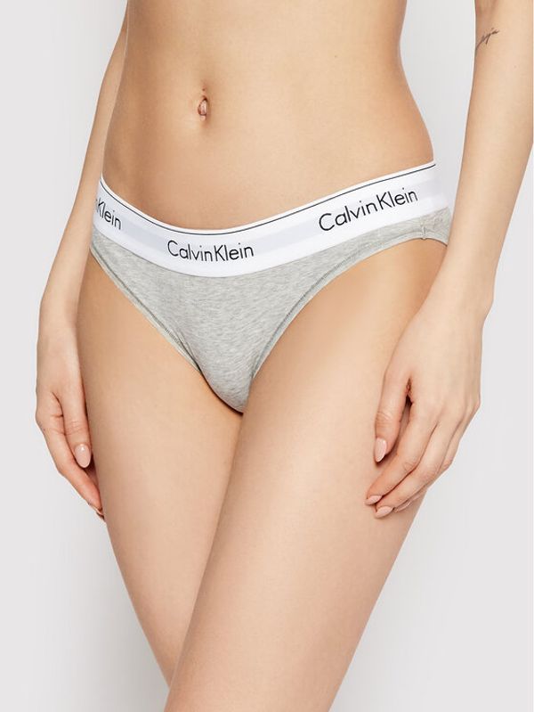 Calvin Klein Underwear Calvin Klein Underwear Класически дамски бикини 0000F3787E Сив