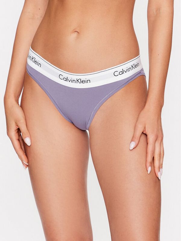 Calvin Klein Underwear Calvin Klein Underwear Класически дамски бикини 0000F3787E Виолетов