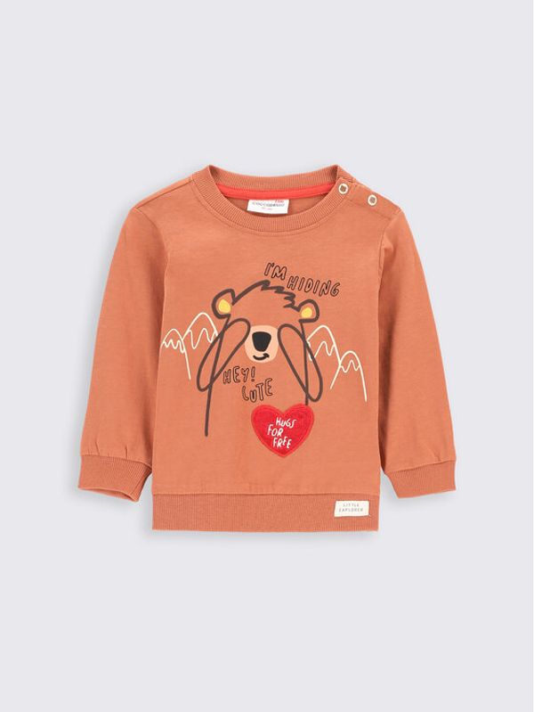 Coccodrillo Coccodrillo Блуза ZC2143102TRN Кафяв Regular Fit