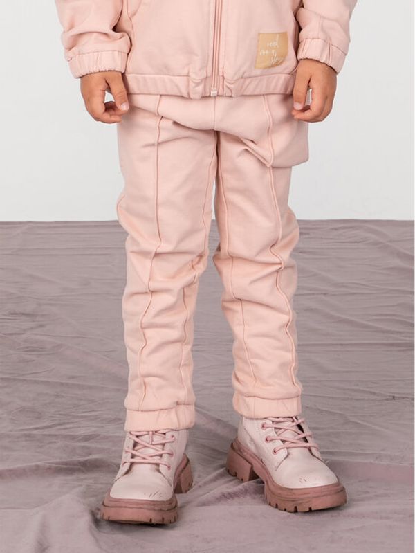 Coccodrillo Coccodrillo Долнище анцуг ZC2120101ROK Розов Regular Fit