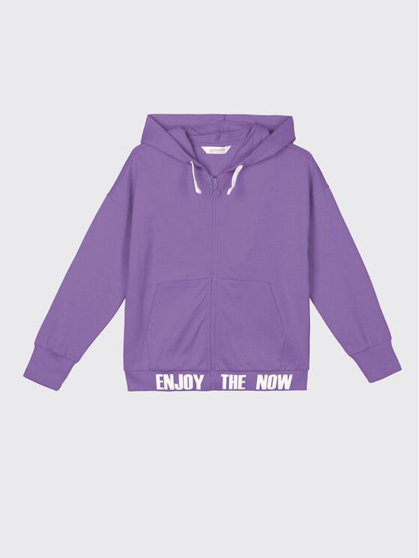 Coccodrillo Coccodrillo Суитшърт WC2132401EVG Виолетов Regular Fit