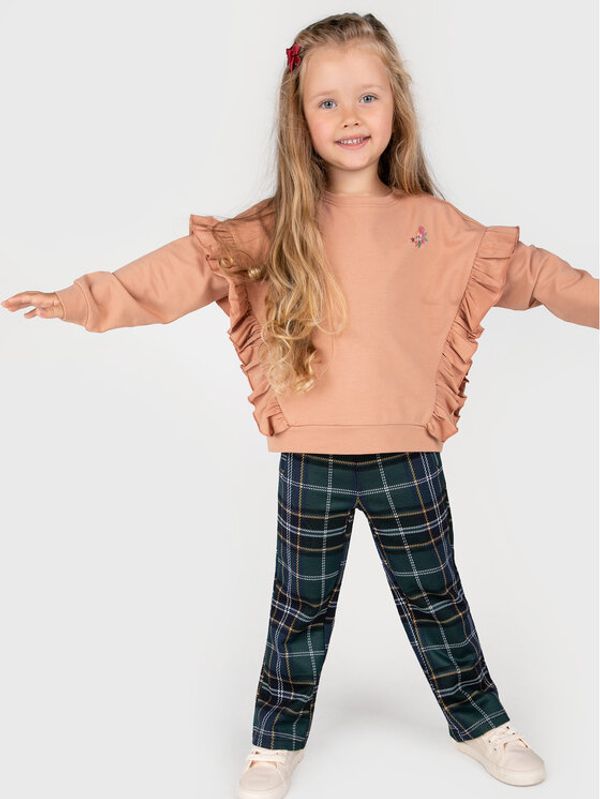 Coccodrillo Coccodrillo Суитшърт ZC2132101AWK Розов Regular Fit