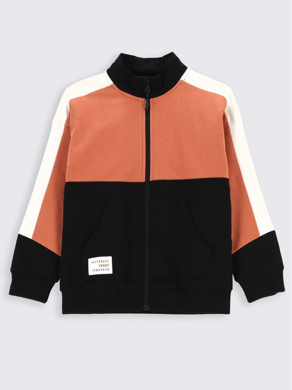 Coccodrillo Coccodrillo Суитшърт ZC2132201CRK Цветен Relaxed Fit