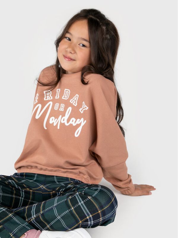 Coccodrillo Coccodrillo Суитшърт ZC2143101AWJ Розов Regular Fit