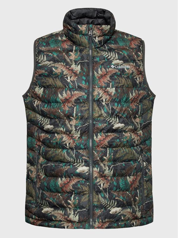 Columbia Columbia Елек Powder Lite 1748031 Цветен Regular Fit