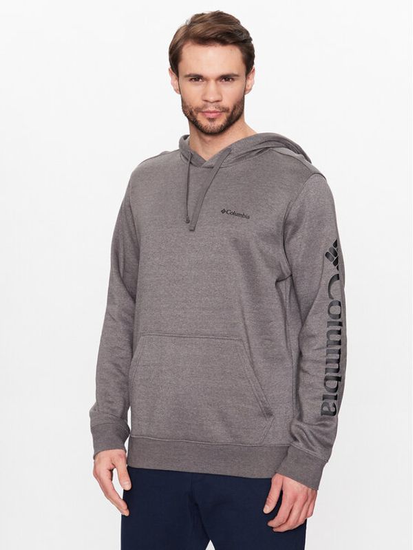 Columbia Columbia Суитшърт Trek 1957913 Сив Regular Fit