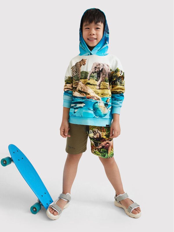 Desigual Desigual Суитшърт Eros 22SBSK05 Цветен Regular Fit