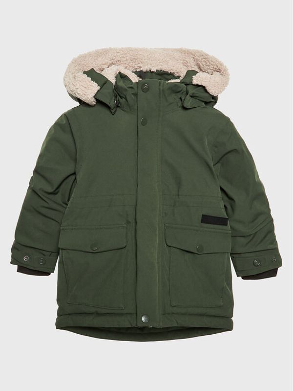 Didriksons Didriksons Парка Lizzo 504367 Зелен Regular Fit