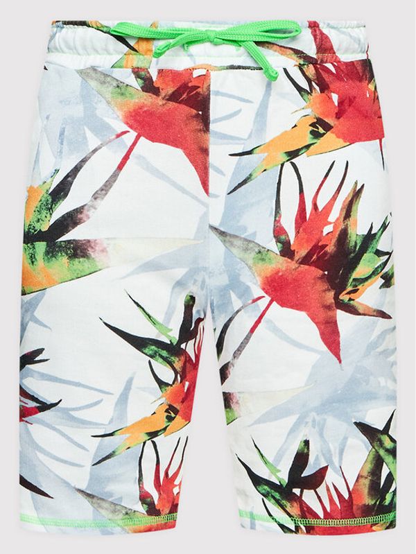 Guess Guess Спортни шорти L2GD09 KA6R3 Цветен Regular Fit