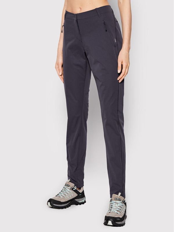 Jack Wolfskin Jack Wolfskin Outdoor панталони Tasman 1507311 Сив Regular Fit